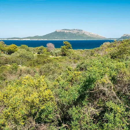 Picker - Klodge * Golfo Aranci